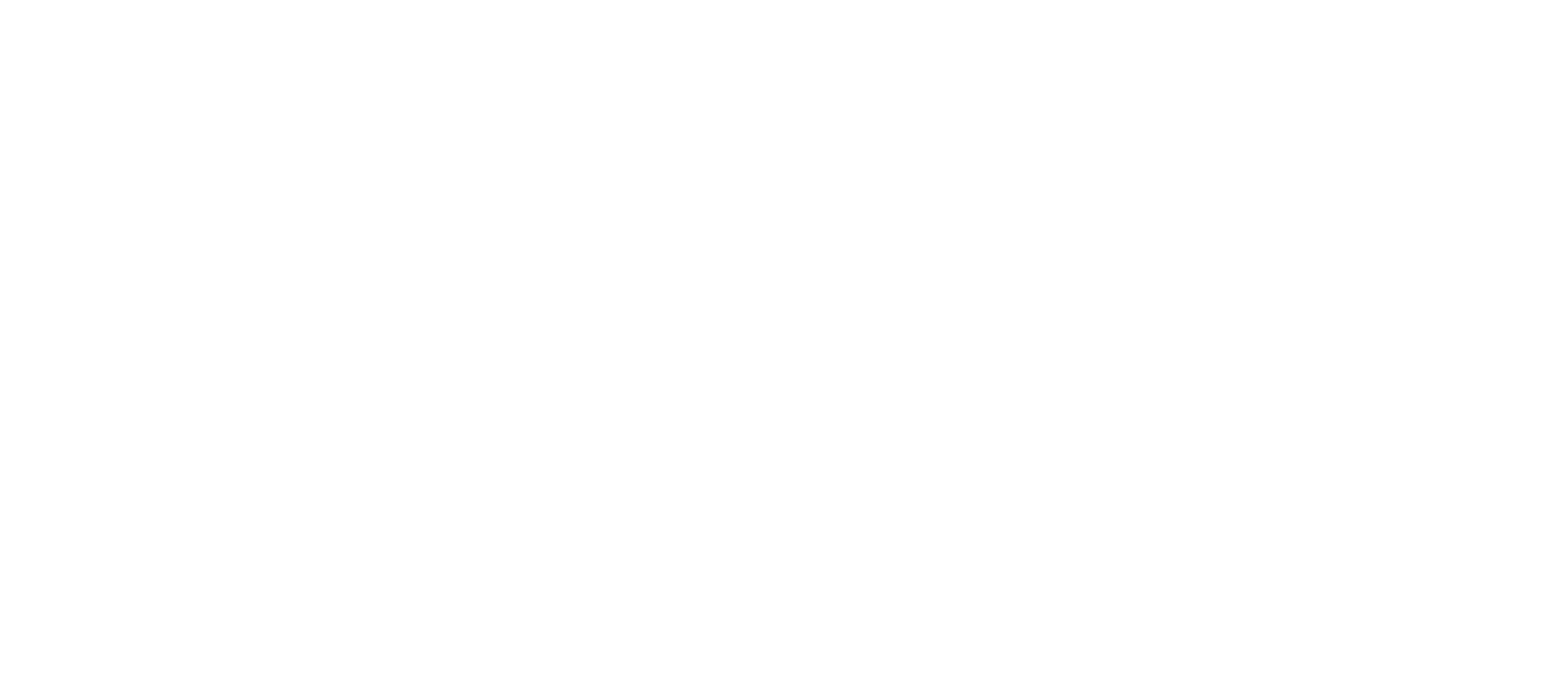 Universidad de Ibagué